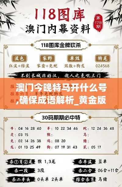 澳门今晚特马开什么号,确保成语解析_黄金版16.461