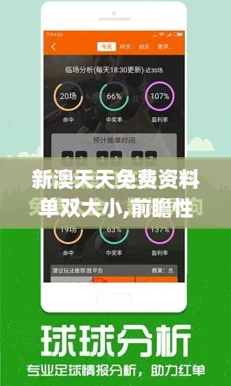 新澳天天免费资料单双大小,前瞻性战略定义探讨_WearOS9.445