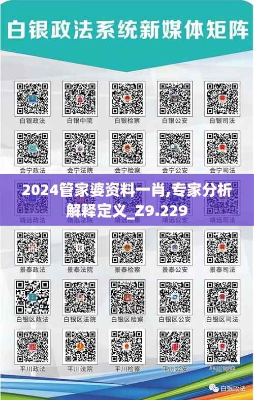 2024管家婆资料一肖,专家分析解释定义_Z9.229