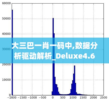 大三巴一肖一码中,数据分析驱动解析_Deluxe4.601