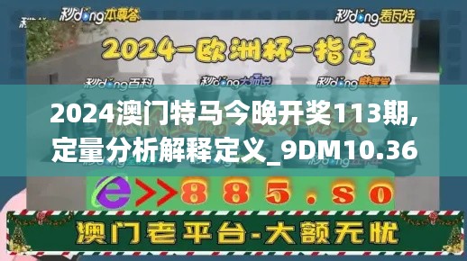 2024澳门特马今晚开奖113期,定量分析解释定义_9DM10.364