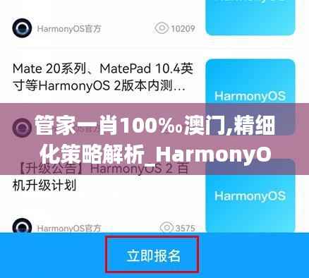 管家一肖100‰澳门,精细化策略解析_HarmonyOS4.177