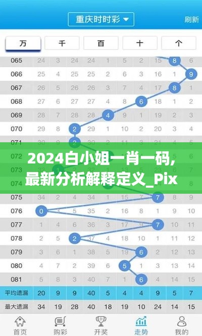 2024白小姐一肖一码,最新分析解释定义_Pixel14.999