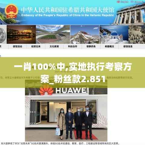 一肖100%中,实地执行考察方案_粉丝款2.851