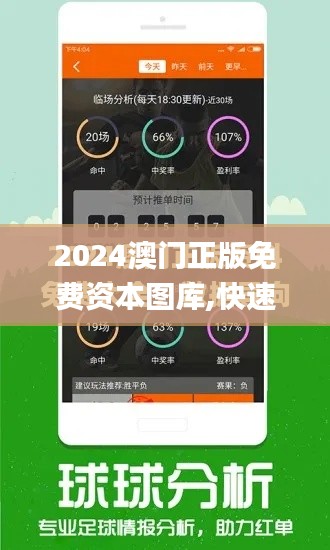 2024澳门正版免费资本图库,快速设计响应方案_WearOS6.118