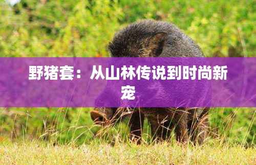 鸢飞鱼跃 第7页