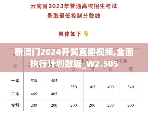 新澳门2024开奖直播视频,全面执行计划数据_W2.505
