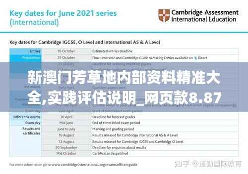 新澳门芳草地内部资料精准大全,实践评估说明_网页款8.876