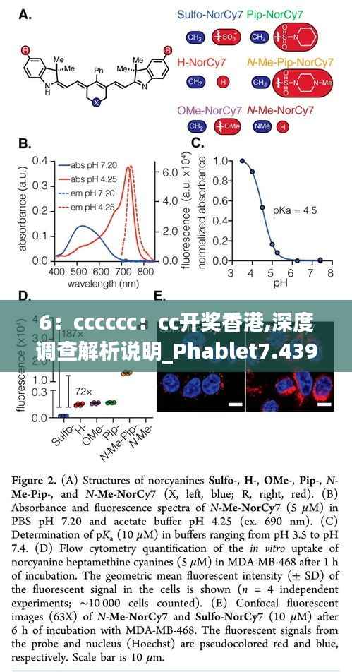 6：cccccc：cc开奖香港,深度调查解析说明_Phablet7.439