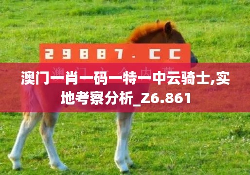 澳门一肖一码一特一中云骑士,实地考察分析_Z6.861