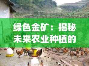 绿色金矿:揭秘未来农业种植的五大热门项目