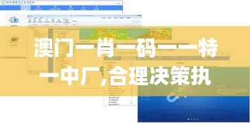 澳门一肖一码一一特一中厂,合理决策执行审查_Nexus4.624