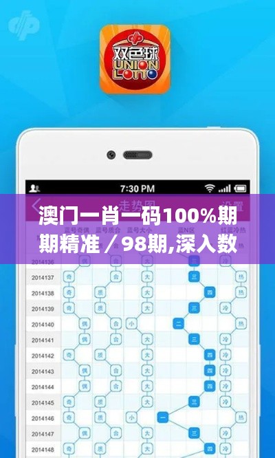 澳门一肖一码100%期期精准／98期,深入数据执行方案_复古款3.412