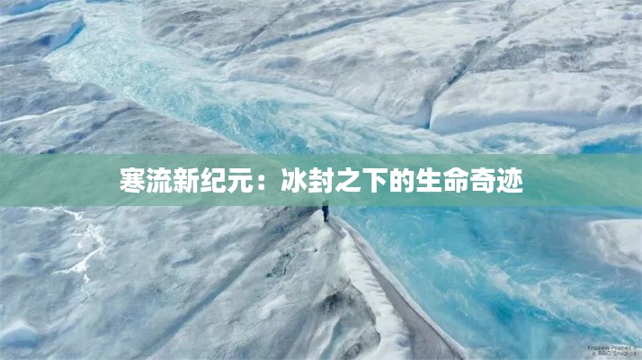 寒流新纪元：冰封之下的生命奇迹