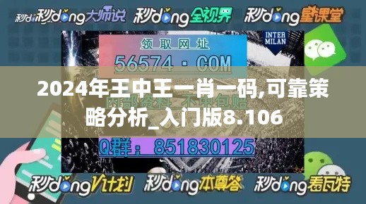 2024年王中王一肖一码,可靠策略分析_入门版8.106