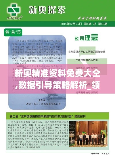 新奥精准资料免费大仝,数据引导策略解析_领航版10.732