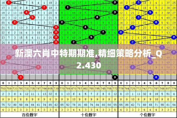 新澳六肖中特期期准,精细策略分析_Q2.430