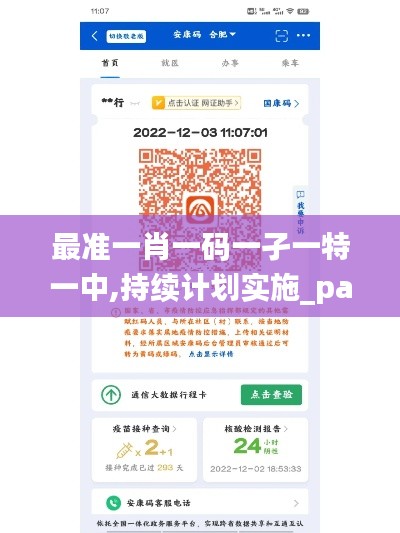 最准一肖一码一孑一特一中,持续计划实施_pack16.685