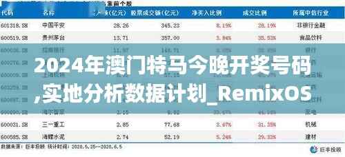 2024年澳门特马今晚开奖号码,实地分析数据计划_RemixOS4.200