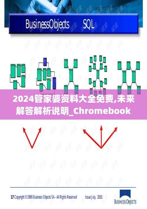 2024管家婆资料大全免费,未来解答解析说明_Chromebook7.504
