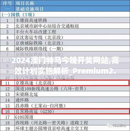 2024澳门特马今晚开奖网站,高效计划实施解析_Premium2.198