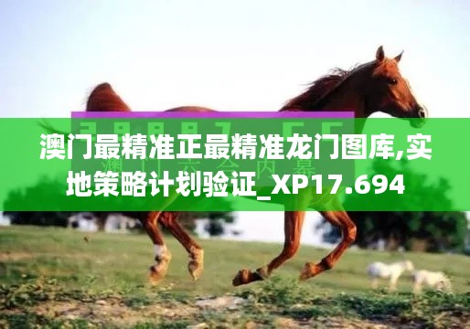 澳门最精准正最精准龙门图库,实地策略计划验证_XP17.694