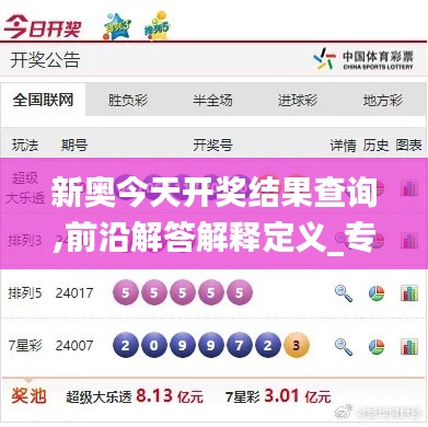 新奥今天开奖结果查询,前沿解答解释定义_专属款13.452
