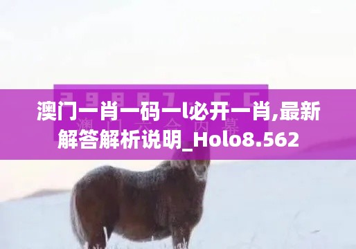 澳门一肖一码一l必开一肖,最新解答解析说明_Holo8.562