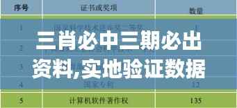 三肖必中三期必出资料,实地验证数据分析_特供款6.962