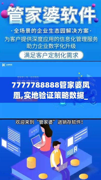 7777788888管家婆凤凰,实地验证策略数据_Elite8.388
