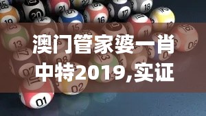 澳门管家婆一肖中特2019,实证研究解析说明_X4.766