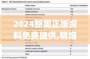 2024新奥正版资料免费提供,精细化策略探讨_pro7.146