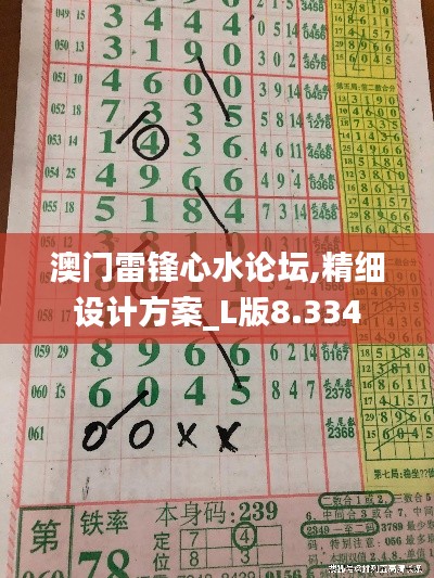 澳门雷锋心水论坛,精细设计方案_L版8.334