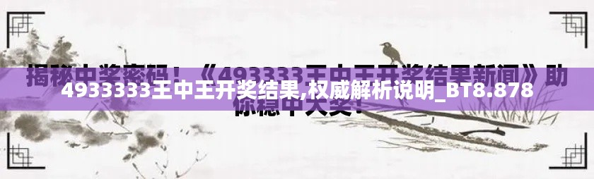 4933333王中王开奖结果,权威解析说明_BT8.878