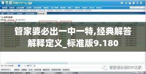 管家婆必出一中一特,经典解答解释定义_标准版9.180