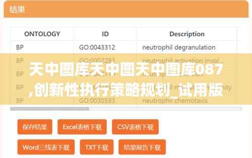 天中图库天中图天中图库087,创新性执行策略规划_试用版5.515