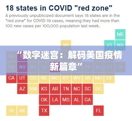 “数字迷宫：解码美国疫情新篇章”