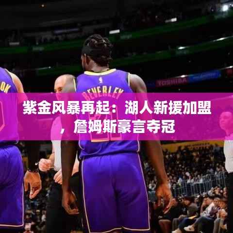 紫金风暴再起：湖人新援加盟，詹姆斯豪言夺冠
