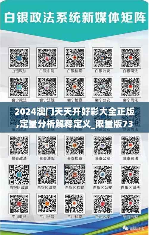 2024澳门天天开好彩大全正版,定量分析解释定义_限量版73.685