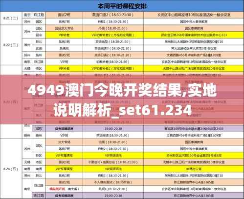 4949澳门今晚开奖结果,实地说明解析_set61.234