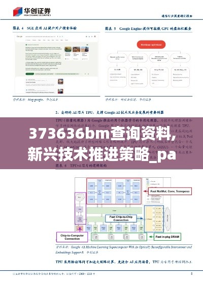373636bm查询资料,新兴技术推进策略_pack24.951
