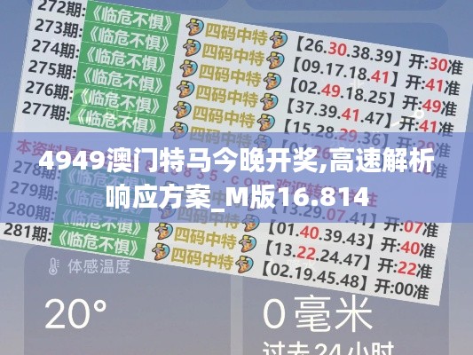 4949澳门特马今晚开奖,高速解析响应方案_M版16.814