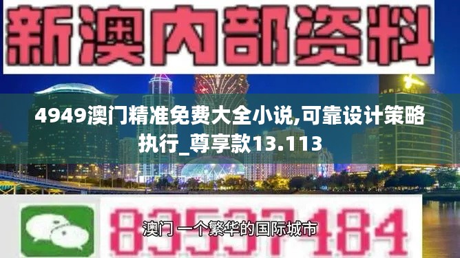 4949澳门精准免费大全小说,可靠设计策略执行_尊享款13.113