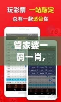 管家婆一码一肖,优选方案解析说明_Console44.447