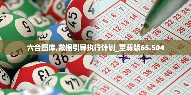 六合图库,数据引导执行计划_至尊版65.504