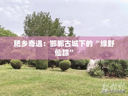 荡然无存 第7页