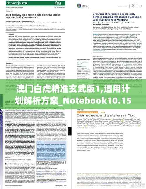 澳门白虎精准玄武版1,适用计划解析方案_Notebook10.159