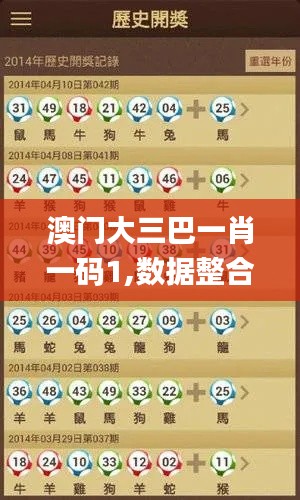 澳门大三巴一肖一码1,数据整合设计解析_复刻版7.116