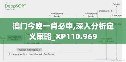 澳门今晚一肖必中,深入分析定义策略_XP110.969