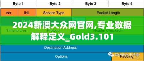 2024新澳大众网官网,专业数据解释定义_Gold3.101